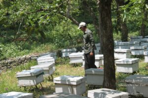 Things to do in Jeolikote, Uttarakhand