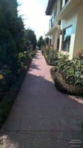 Chaukori – 5th Halt in Our Uttarakhand Road-trip: Review of Ojaswi Resort in Chaukori