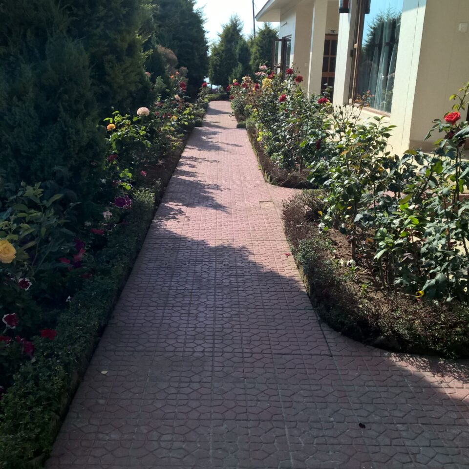 Chaukori – 5th Halt in Our Uttarakhand Road-trip: Review of Ojaswi Resort in Chaukori