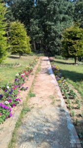 Chaukori – 5th Halt in Our Uttarakhand Road-trip: Review of Ojaswi Resort in Chaukori