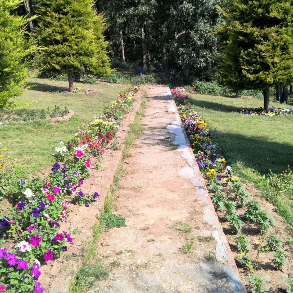 Chaukori – 5th Halt in Our Uttarakhand Road-trip: Review of Ojaswi Resort in Chaukori