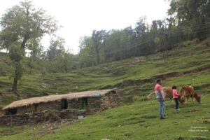 Sight seeing in Munsiyari