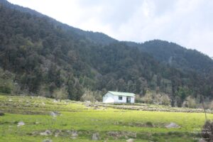 Sight seeing in Munsiyari