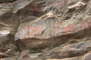 Sight-seeing in Binsar, Uttarakhand