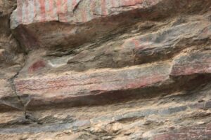 Sight-Seeing in Binsar, Uttarakhand