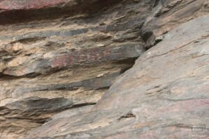 Sight-Seeing in Binsar, Uttarakhand