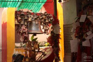 Sight-Seeing in Binsar, Uttarakhand