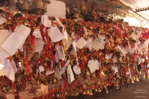 Sight-seeing in Binsar, Uttarakhand