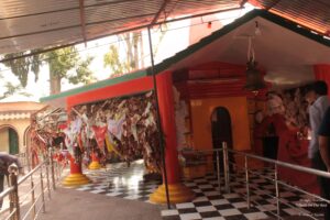 Sight-Seeing in Binsar, Uttarakhand