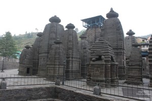 Sight-seeing in Binsar, Uttarakhand