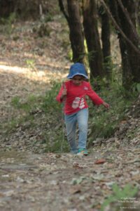 SStay at the Grand Oak Manor in Binsar, Uttarakhand