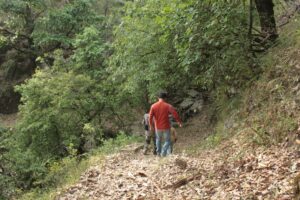 Sight-seeing in Binsar, Uttarakhand