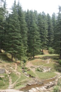 Sight-Seeing in Binsar, Uttarakhand