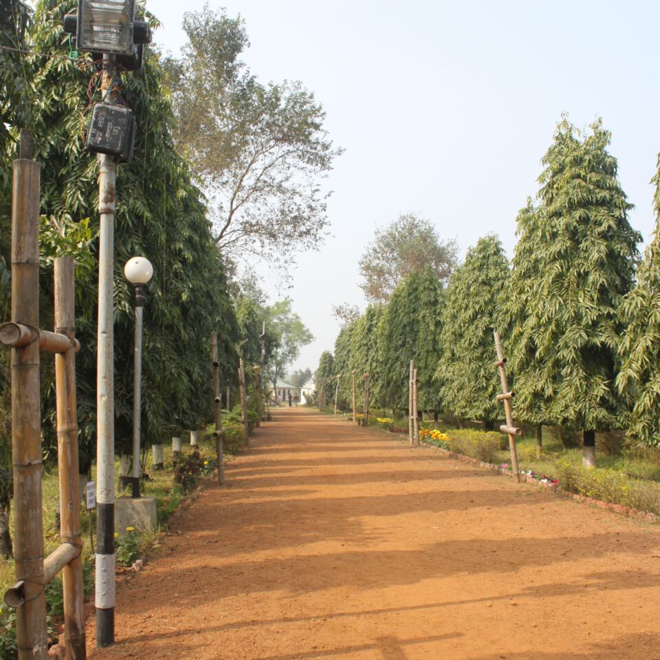 Tour of Srijani Shilpagram in Shantiniketan, West Bengal