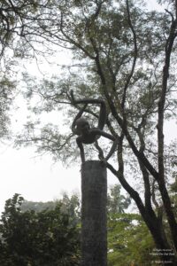 Tour of Vishwa Bharti in Shantiniketan