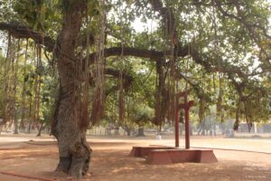 Tour of Vishwa Bharti in Shantiniketan