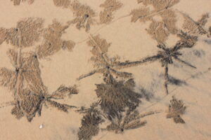 Sightseeing in Ganapatiphule -- Aareware Beach