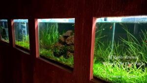 ight-seeing in Ganapatiphule --Ratnagiri Aquarium & Museum