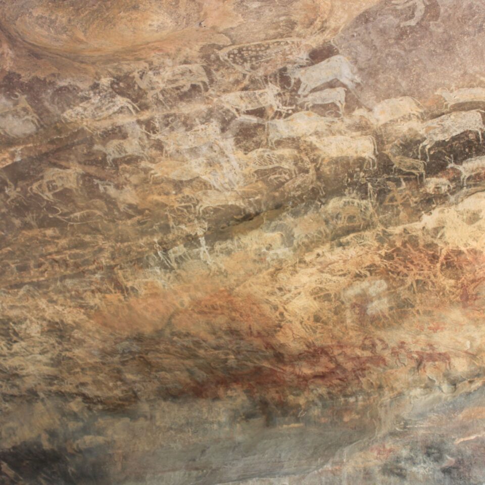 Must See Places in Bhopal -- Bhimbekta Caves