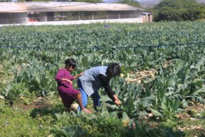 Must See Places in Bhopal -- Bhopal Sanchi Drive