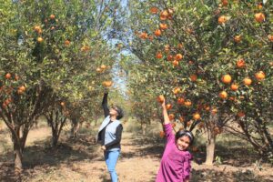 Must See Places in Bhopal -- Bhopal Sanchi Drive