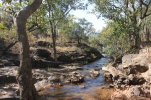 Sight seeing in Panchmarhi -- Bee Falls
