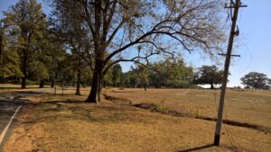 Sight seeing in Panchmarhi -- the town