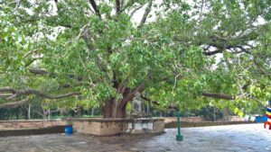 Tour of Anuradhapura, Sri Lanka