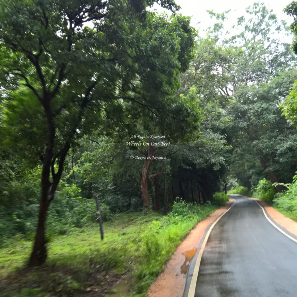 Sigiriya Tour, Sri Lanka