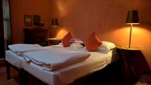 Madras at Vivienda Dos Palhacos, Homestay in Goa