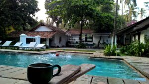 Vivienda Dos Palhacos, Homestay in Goa