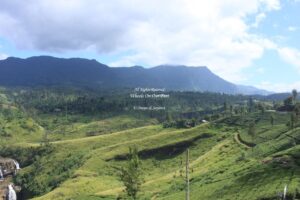 Drive from Nuwara Eliya to Unawatuna, Sri Lanka