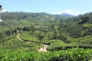 Drive from Nuwara Eliya to Unawatuna, Sri Lanka