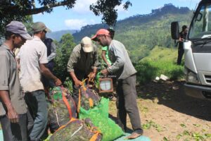 Drive from Nuwara Eliya to Unawatuna, Sri Lanka