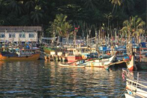 Whale Watching in Mirissa in Sri Lanka