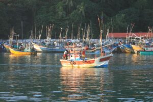 Whale Watching in Mirissa in Sri Lanka