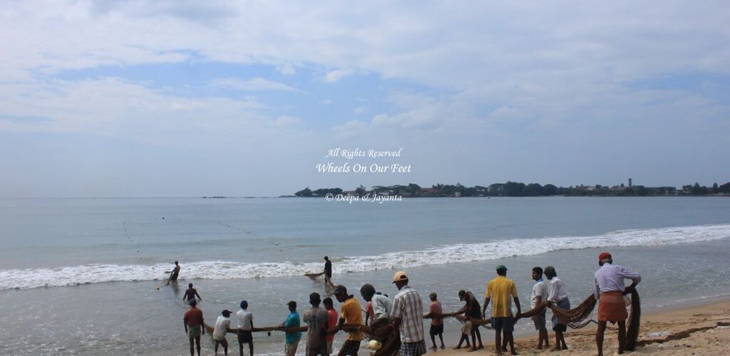 Markets & Fishing in Galle, Sri Lanka