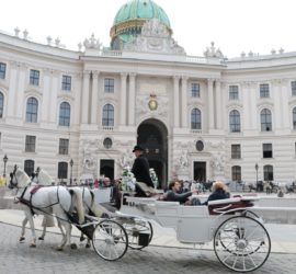 Sight-seeing in Vienna, Austria