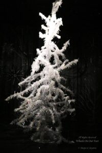 Day Tour of Swarovski, Austria