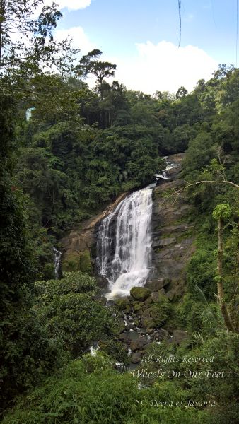 Kerala roadtrip