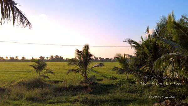 Kerala roadtrip