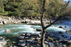 Drive from Kausani to Pokhari