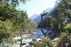 Drive from Kausani to Pokhari