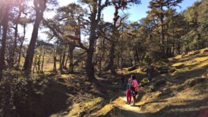 Holiday in Auli, Uttarakhand