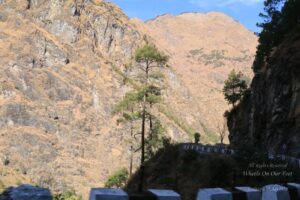 Uttarakhand Winter Roadtrip -- Driving to Auli & Staying at the Garhawal Mandal Vikas Nigam