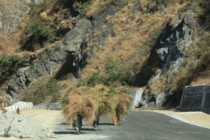 Uttarakhand Winter Roadtrip -- Driving to Auli & Staying at the Garhawal Mandal Vikas Nigam