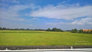 Day Trip to Pagsanjan Falls, Phillippines