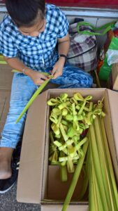 Sight-seeing in Cebu, Phillippines