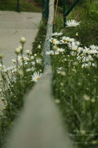 Hills-hopping in Himachal