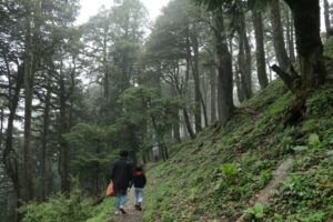 Jhalori Pass Trek